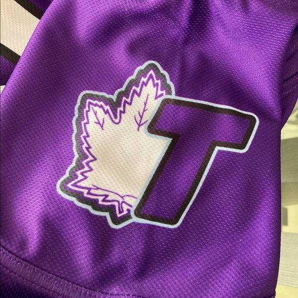 Custom Toronto Raptors X Maple Leafs Hockey Jersey (Mats Sundin) and Blank - Picture 4 of 4